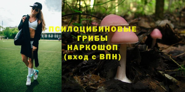 стаф Нягань