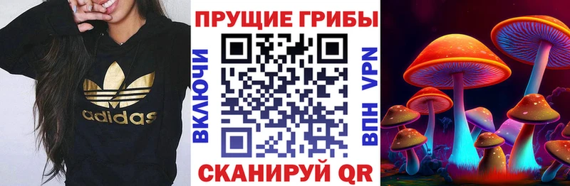 Купить закладки  Пугачёв  Галлюциногенные грибы ЛСД 