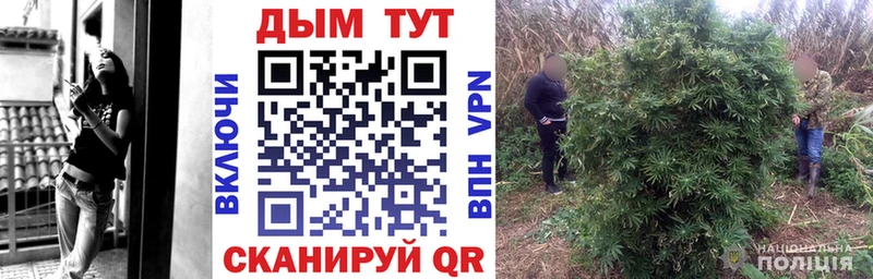 Канабис OG Kush  Купить где  Пугачёв 